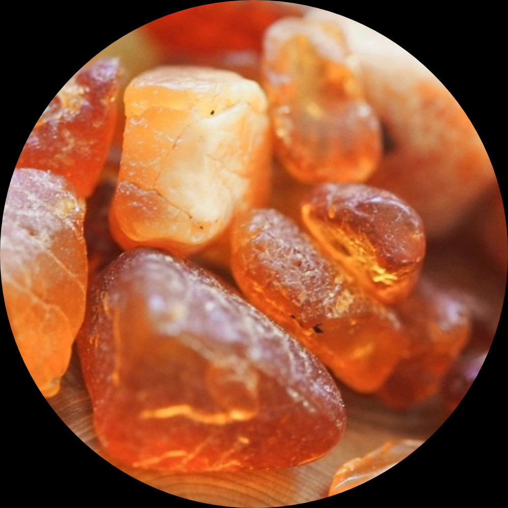 Meet your Posher, Egyptianamber